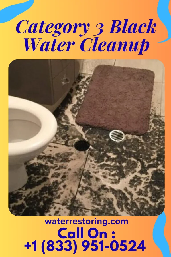 Category 3 Black Water Cleanup in Westport, NC