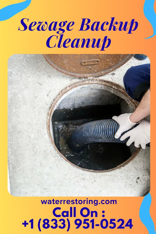Sewage Backup Cleanup in Westport, NC